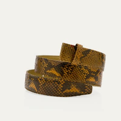 Ceinture Scarabée  Python Ranch – Image 3