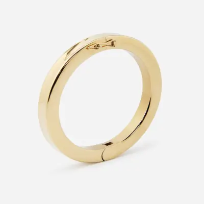 Bracelet Jonc Darwin